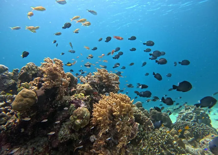 Radeva 2 Menjangan Casa vacanze Banyuwedang