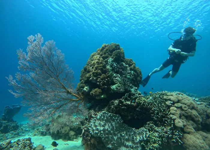 Casa vacanze Radeva 2 Menjangan Banyuwedang